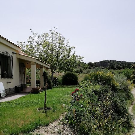 S'Orrosa Casa Vacanze Bifamiliare In Montagna Panorama Stupendo Sardegna Seùlo Exterior foto