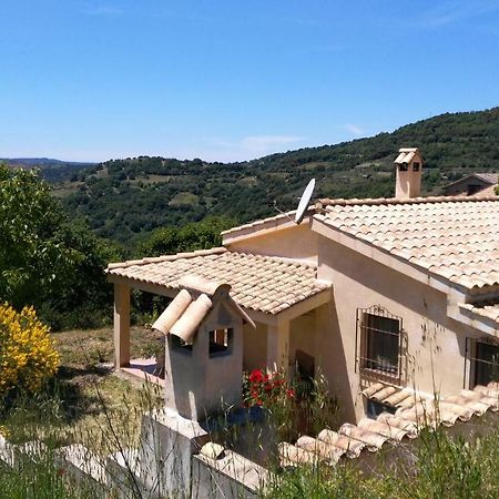 S'Orrosa Casa Vacanze Bifamiliare In Montagna Panorama Stupendo Sardegna Seùlo Exterior foto