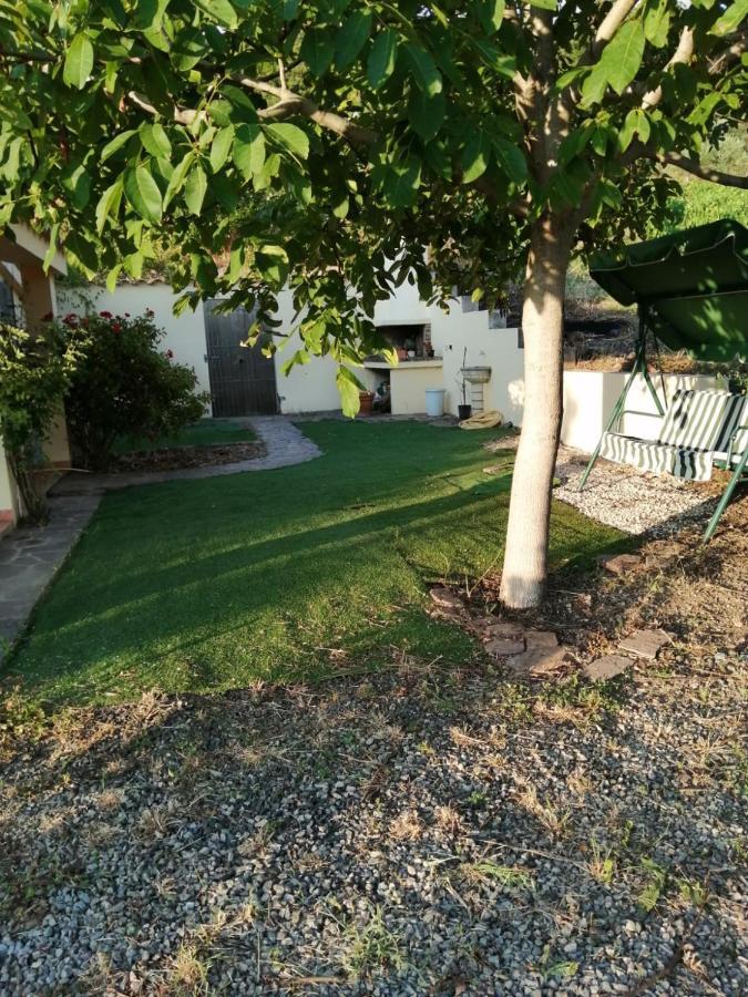 S'Orrosa Casa Vacanze Bifamiliare In Montagna Panorama Stupendo Sardegna Seùlo Exterior foto