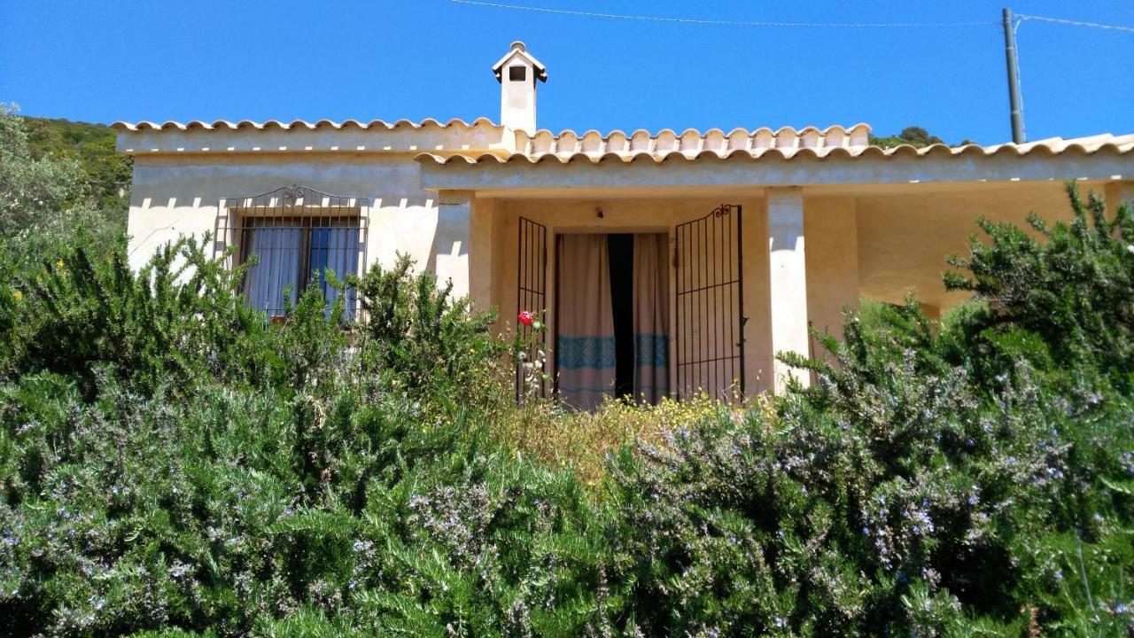 S'Orrosa Casa Vacanze Bifamiliare In Montagna Panorama Stupendo Sardegna Seùlo Exterior foto
