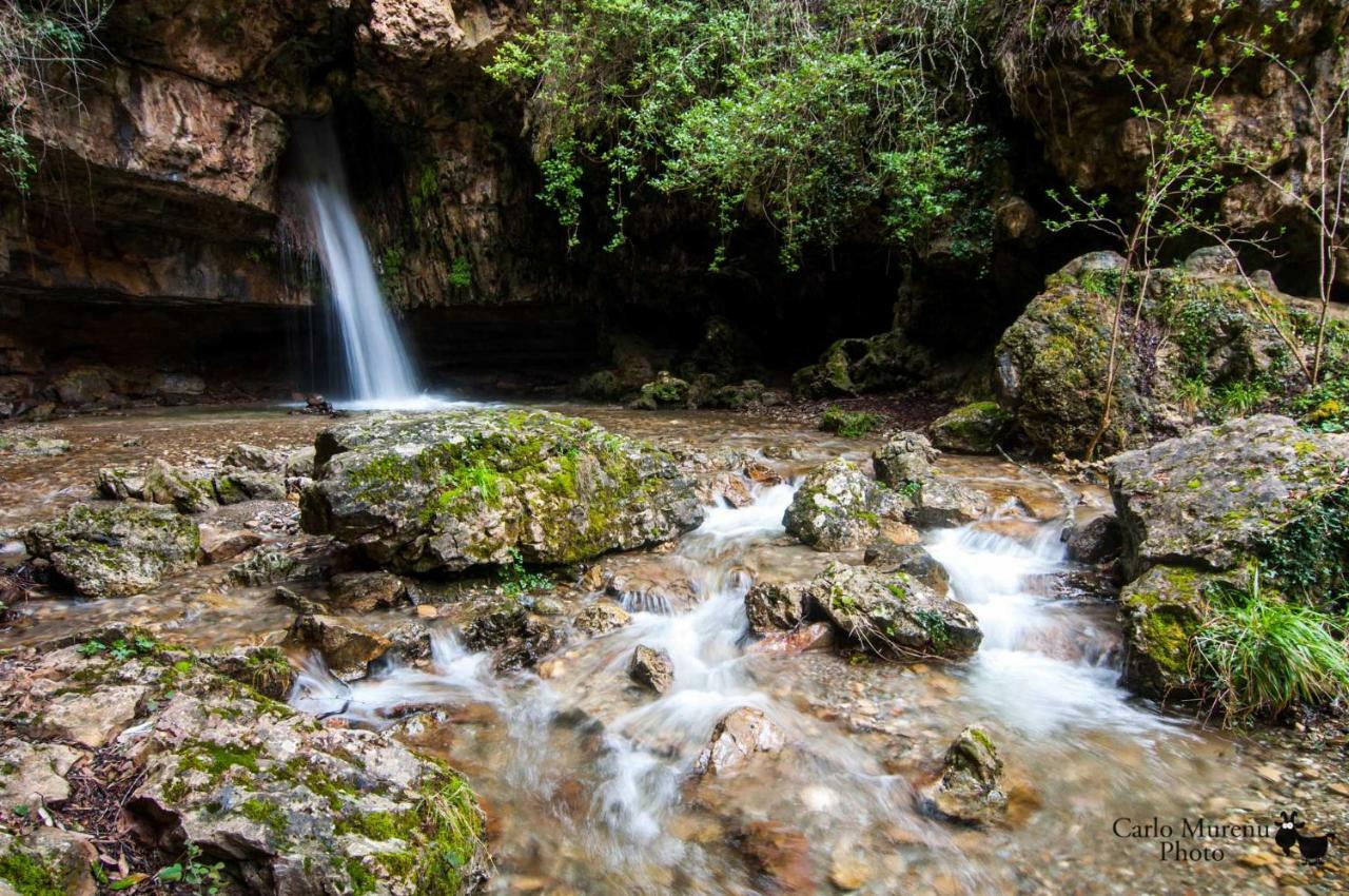 S'Orrosa Casa Vacanze Bifamiliare In Montagna Panorama Stupendo Sardegna Seùlo Exterior foto