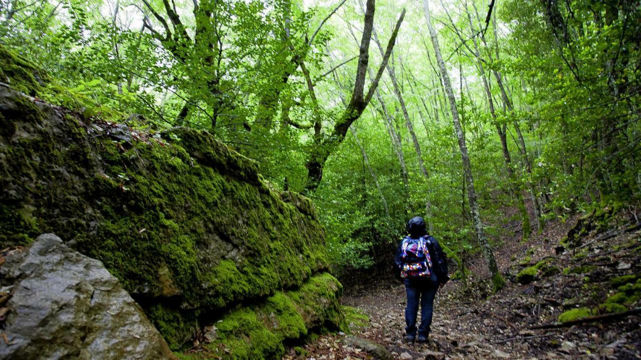 S'Orrosa Casa Vacanze Bifamiliare In Montagna Panorama Stupendo Sardegna Seùlo Exterior foto
