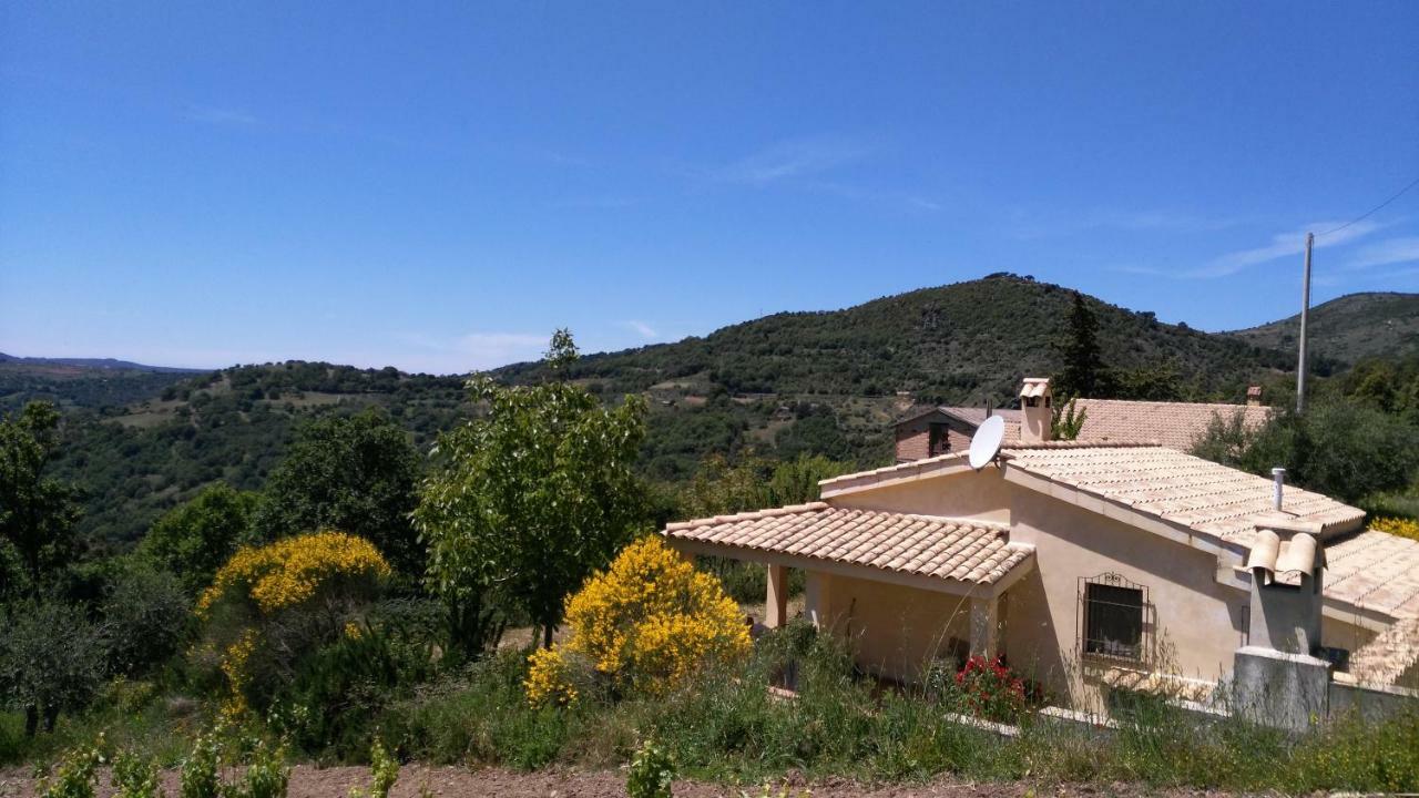 S'Orrosa Casa Vacanze Bifamiliare In Montagna Panorama Stupendo Sardegna Seùlo Exterior foto