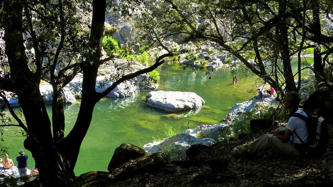 S'Orrosa Casa Vacanze Bifamiliare In Montagna Panorama Stupendo Sardegna Seùlo Exterior foto