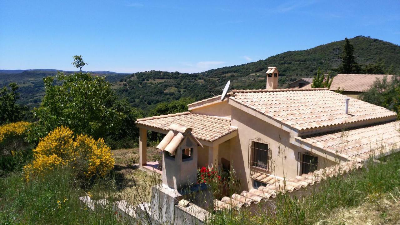 S'Orrosa Casa Vacanze Bifamiliare In Montagna Panorama Stupendo Sardegna Seùlo Exterior foto
