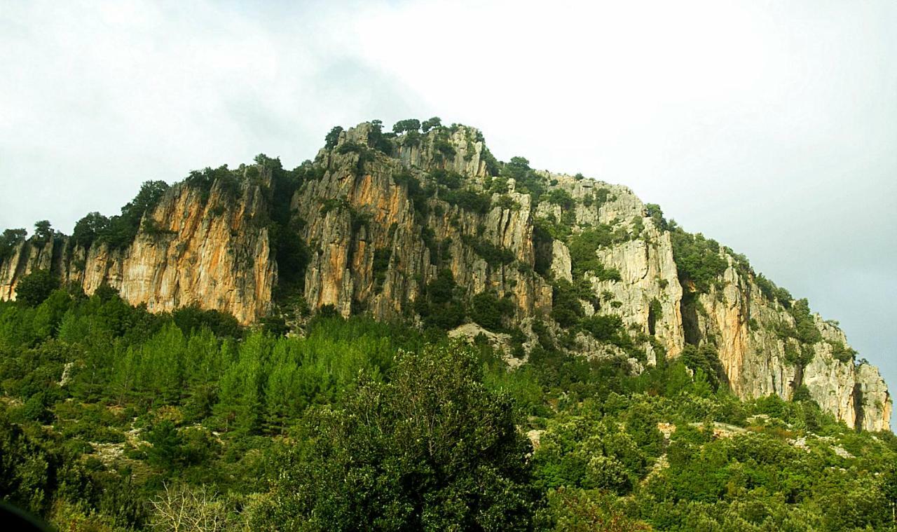 S'Orrosa Casa Vacanze Bifamiliare In Montagna Panorama Stupendo Sardegna Seùlo Exterior foto